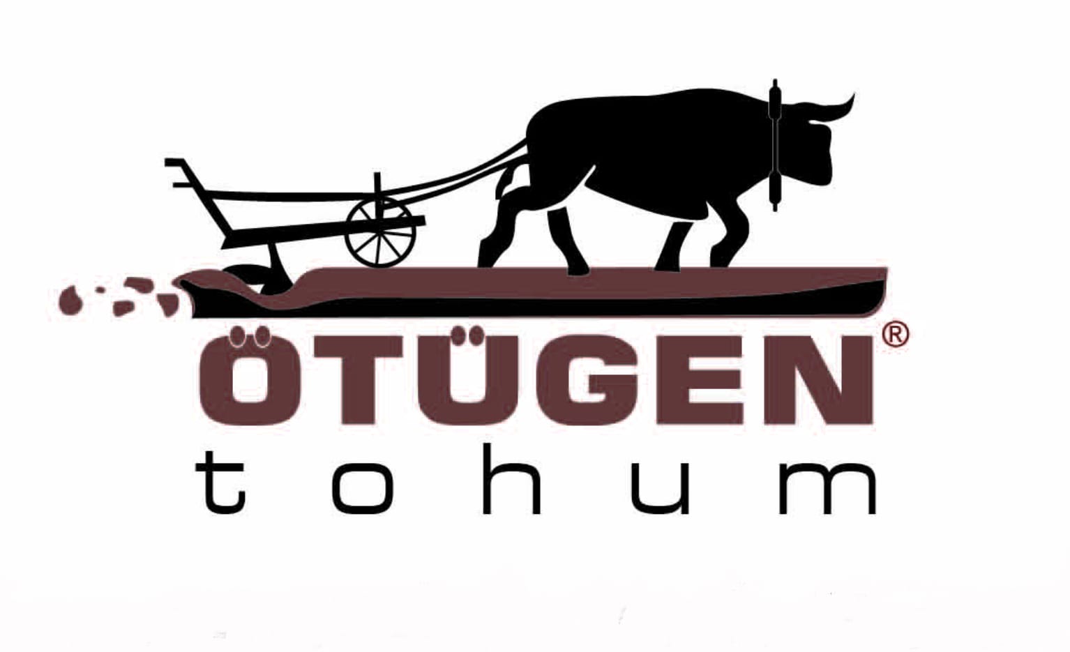 ÖTÜGEN TOHUM